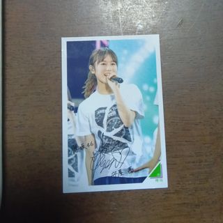 櫻坂46 - 菅井友香 直筆サイン入りカレンダー 2024 