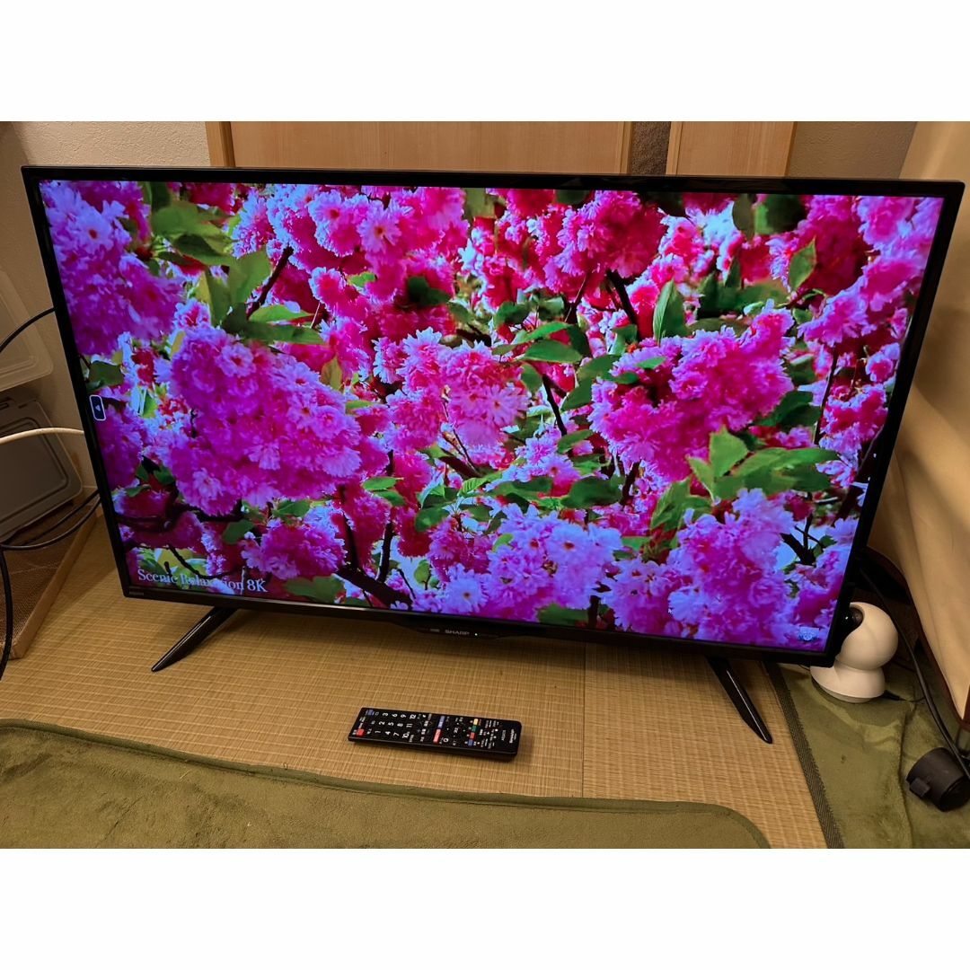 シャープ 液晶テレビ 2022年製 42型 2T-C42BE1 取扱説明書付き