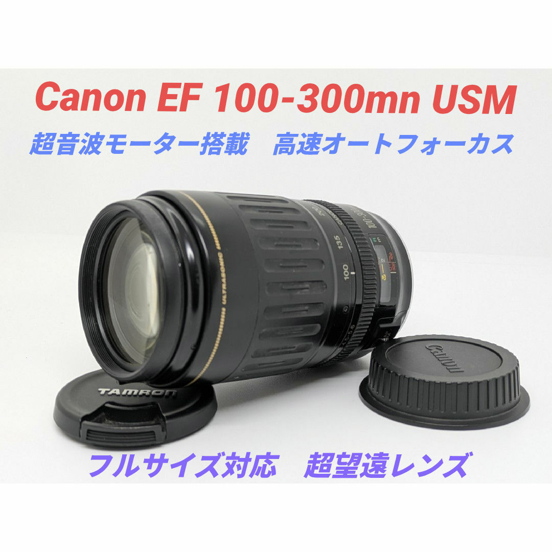 10月4日限定価格♪【超望遠レンズ】Canon EF 90-300mm 【公式通販】