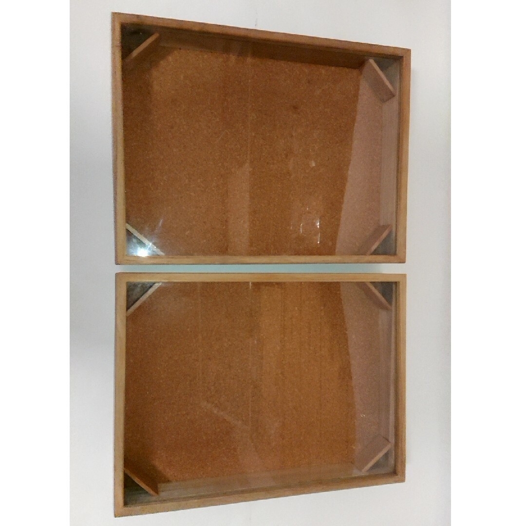 ドイツ型標本箱 大型 1点 T-WOOD | 昆虫標本箱（ドイツ箱）・収納