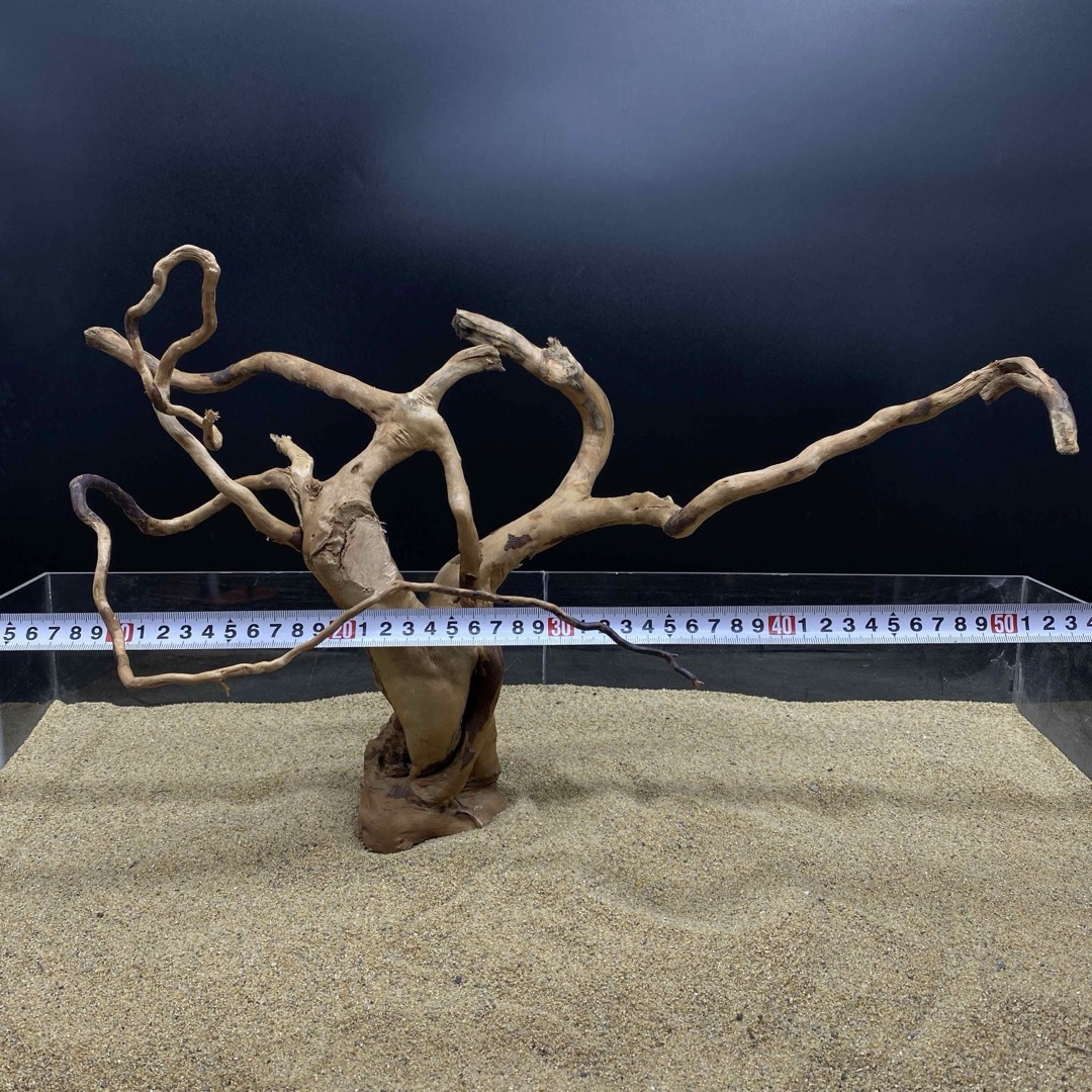 MDW-5605 特大ブランチウッド90cm水槽用流木枝流木アクアリウム