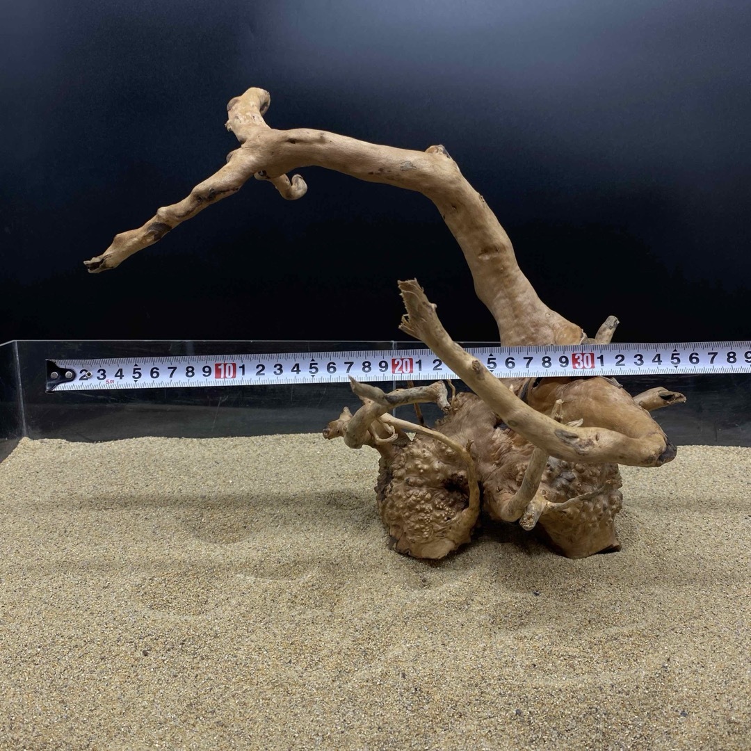 MDW-5605 特大ブランチウッド90cm水槽用流木枝流木アクアリウム