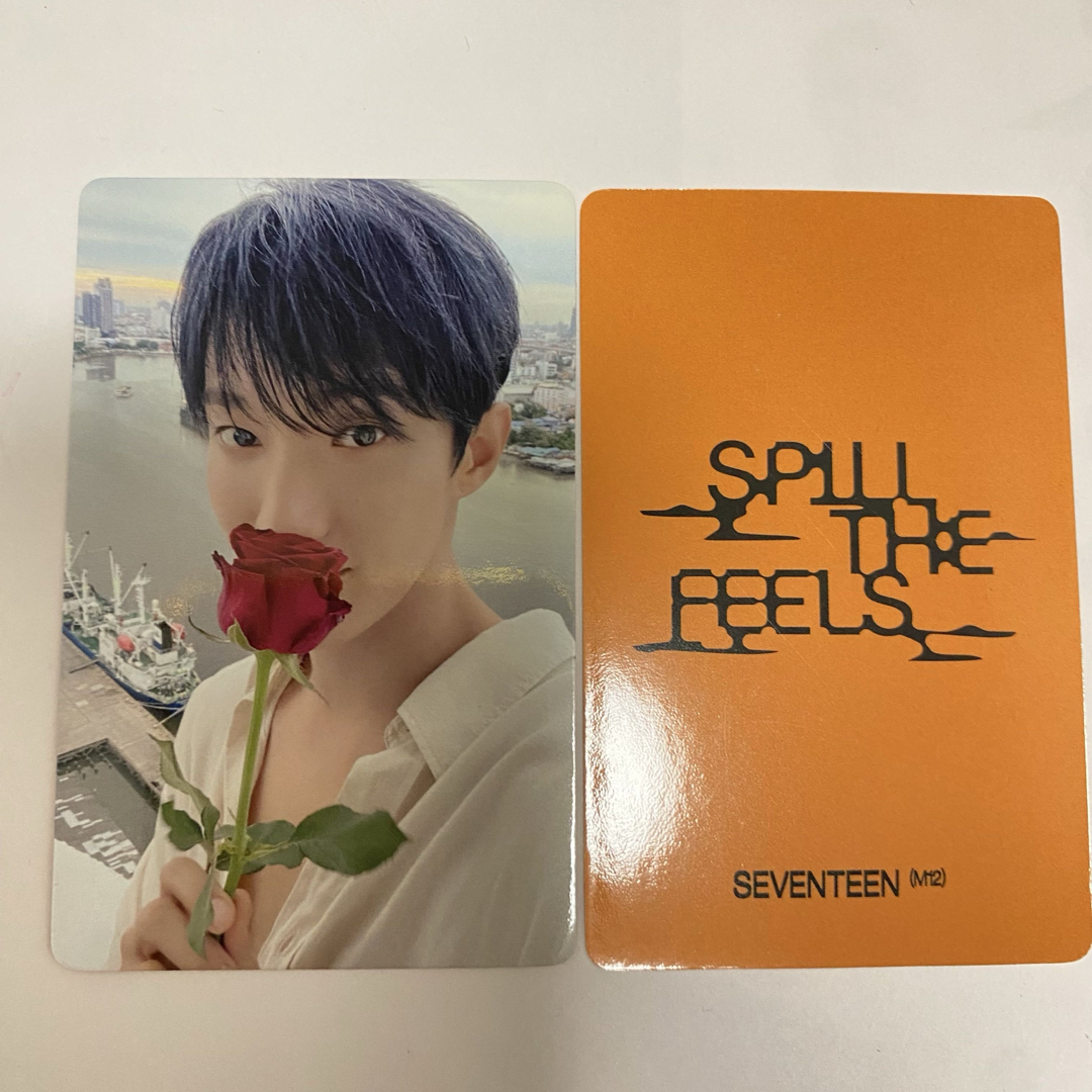 Spill the feels 直筆サイン入り個人生写真 ドギョム Spill the feels