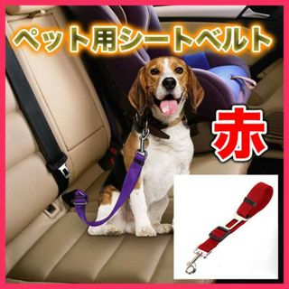 Juicy Coutureジューシークチュール 小型犬〜首輪リードセットペット