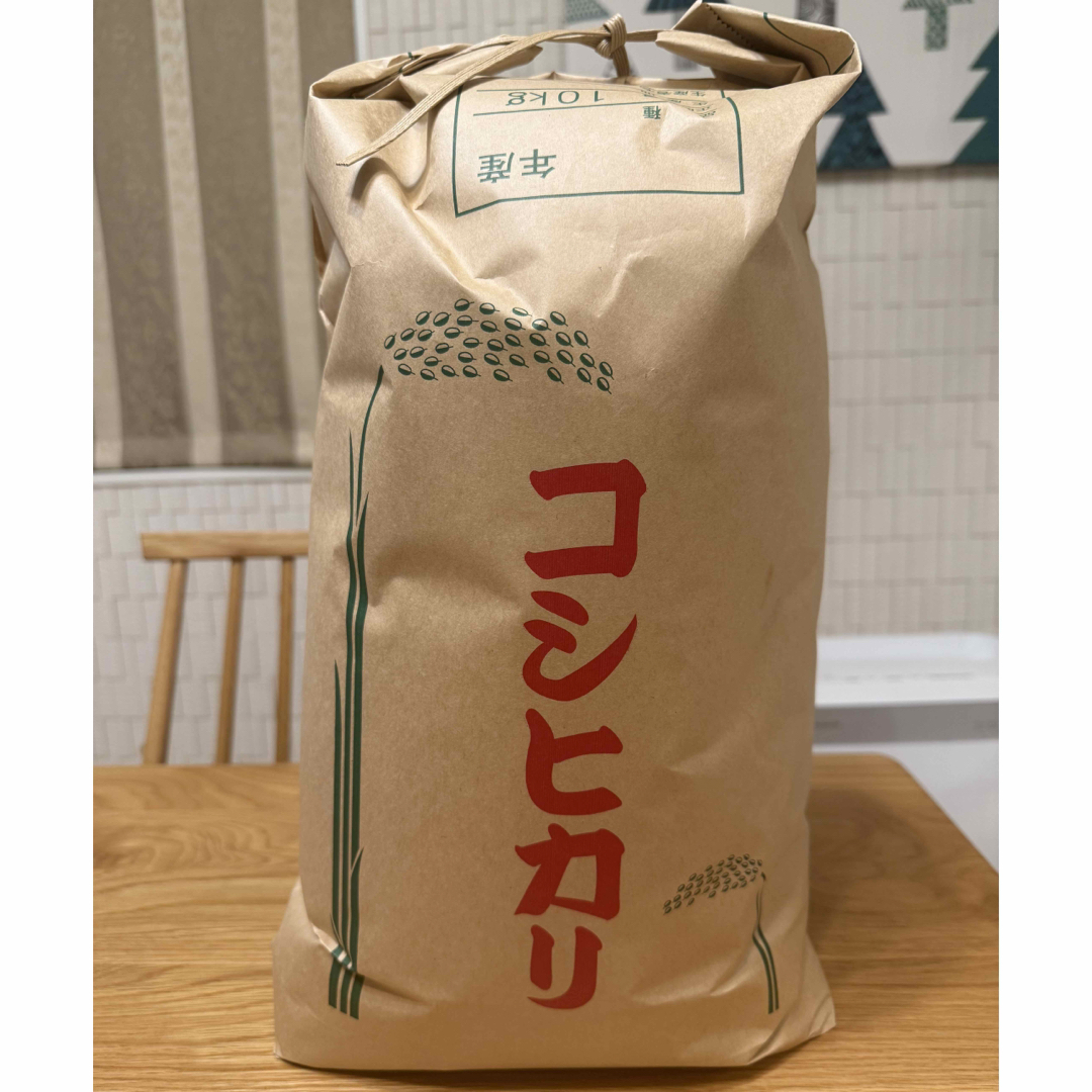 販売 筆者不明 連歌古筆歌切 里村紹巴 細川藤孝？(幽斎) 藤堂良政