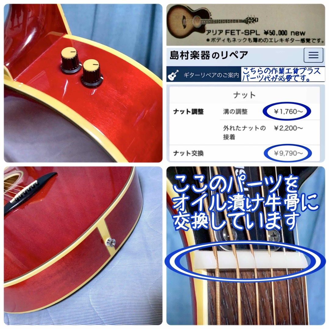 牛骨☆エレアコ】ARIA！ELECODE！エレコード【弾き易く調整☆新品の弦】