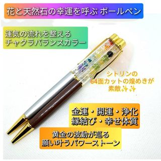 六花亭手提げ袋5枚、ポイントカード 3048ポイント