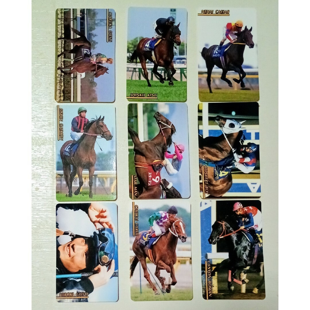 タマモクロス レインボーカード No.424 まねき馬 東ハト タマモクロス