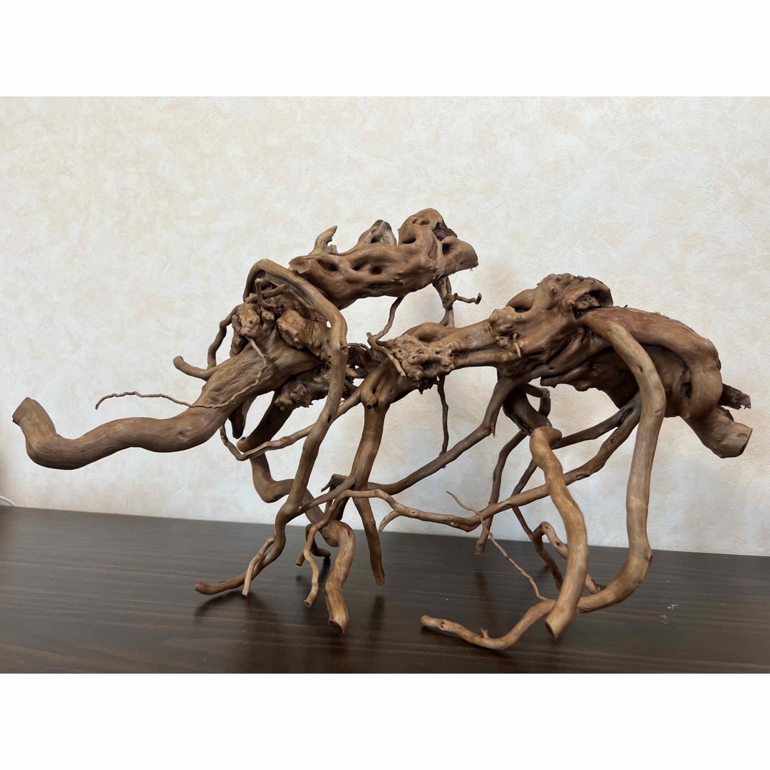 13004 ブランチウッド 流木 アクアリウム 沈水確認済 ペット用品