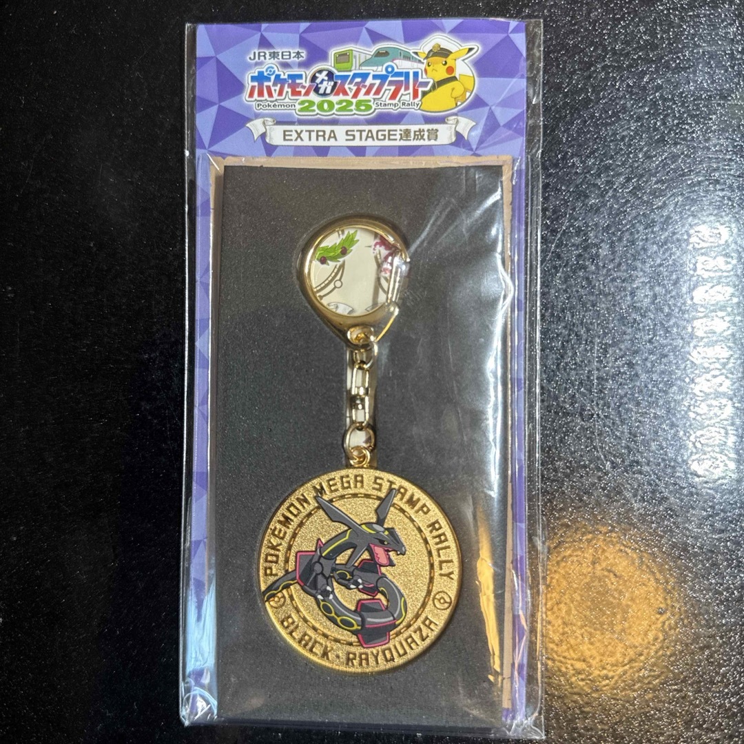 ポケモン - JR東日本 ポケモンメガスタンプラリー 2025 ブラック
