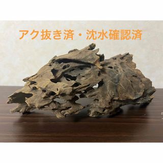 XM-122)流木 マシンガンウッド アクアリウム ブランチウッド 沈水確認