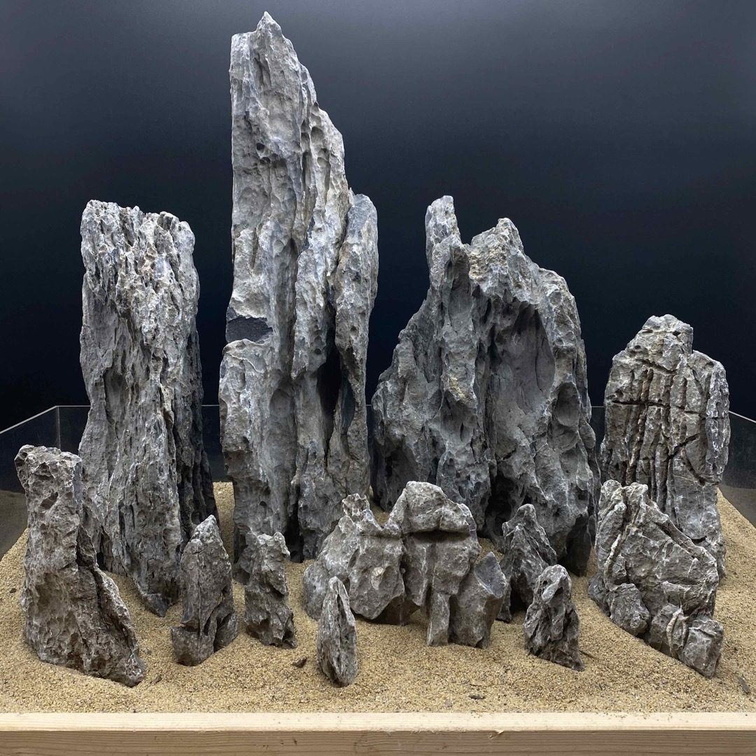 水槽用石 5個セット 竜王石 MSS-5697青龍石レイアウトセット 酸処理