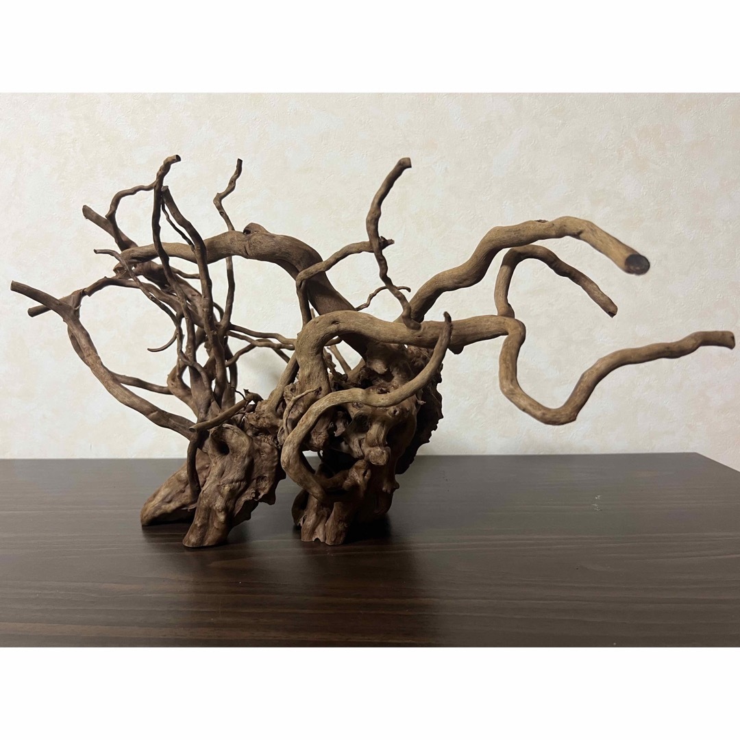 51608 ブランチウッド 流木 アクアリウム 沈水確認済