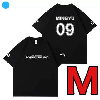 ライブグッズ「SEVENTEEN」Tシャツ300点以上 ｜ラクマ
