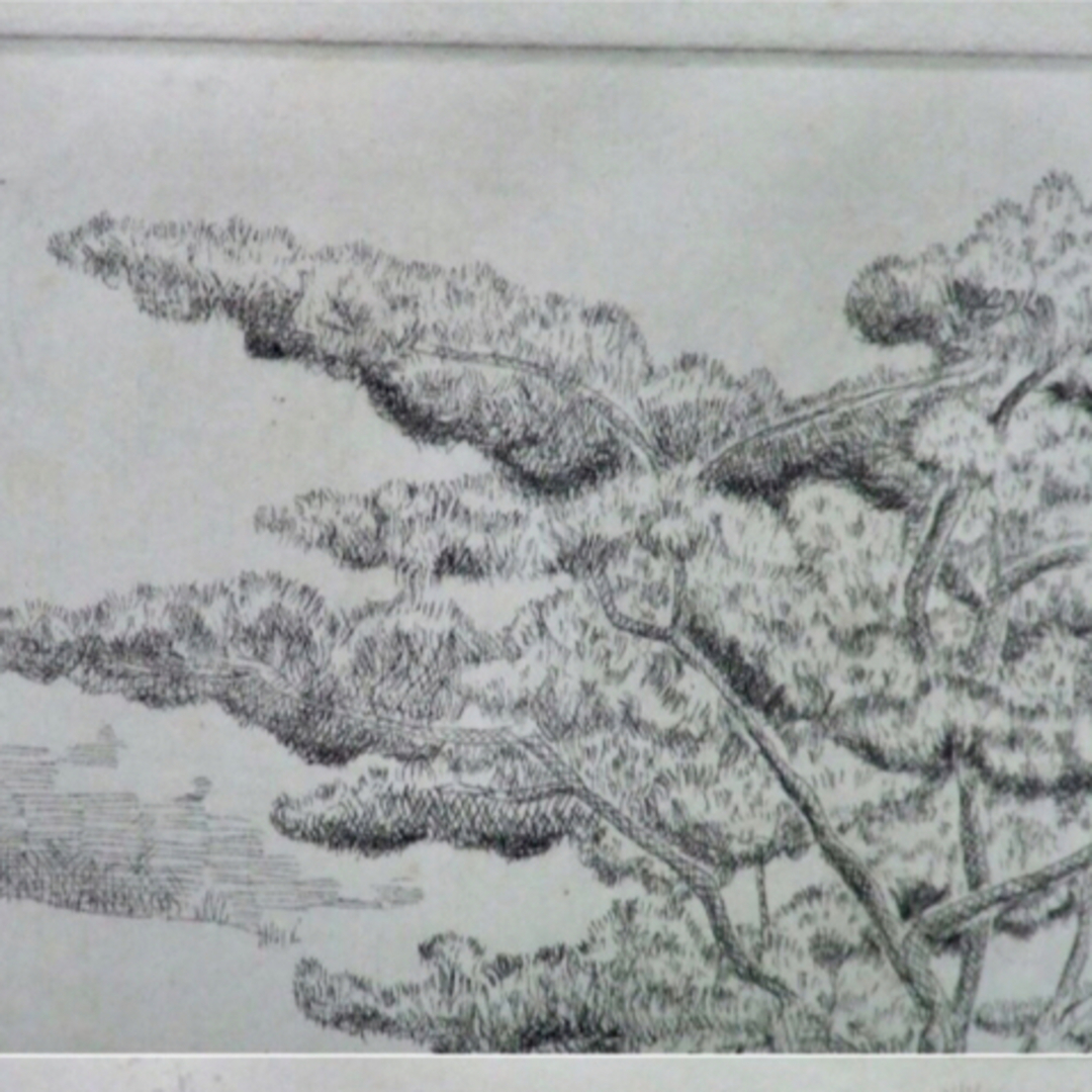 AP】藤岡亘「木曽才勝の一本松」エッチング 1975年 直筆サイン 額装