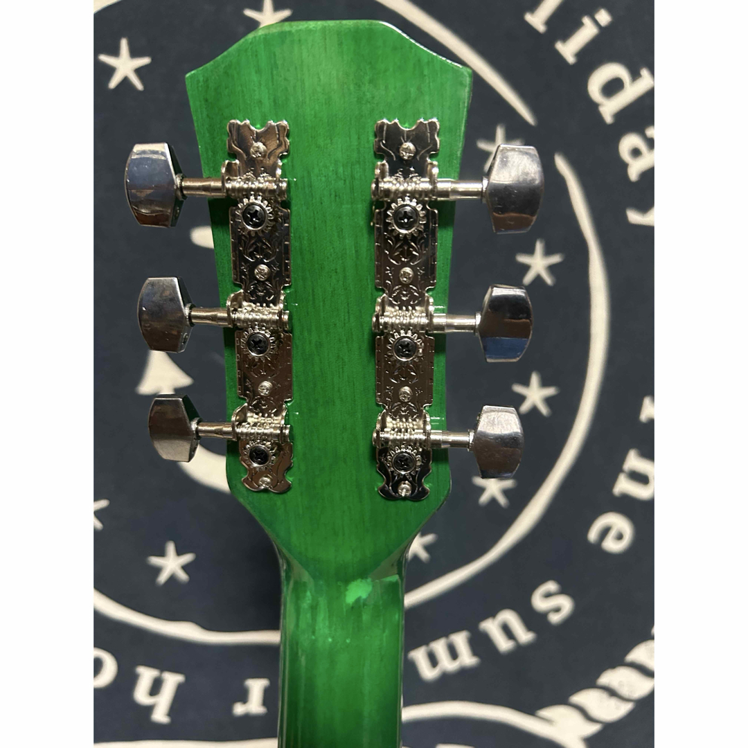 今月末迄特価❣️新品未使用グリーン タイガーグラフィック