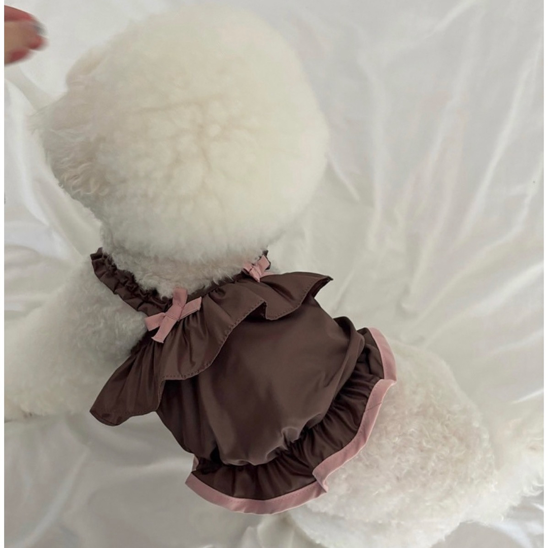 匿名発送』COZYROSYDAY bag cocoa bustier セット