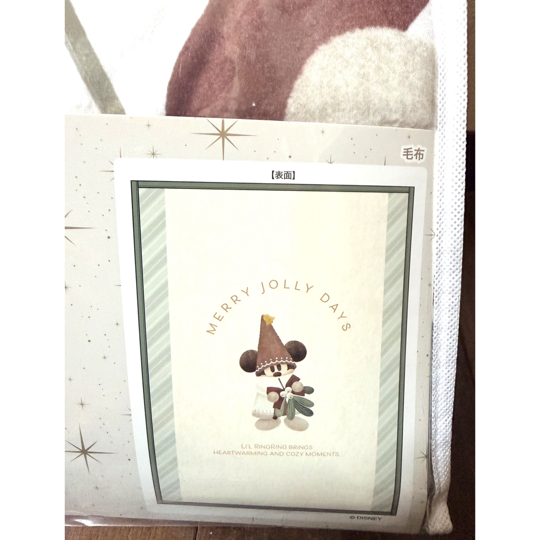 Disney - 東京ディズニーリゾート ディズニークリスマス2025