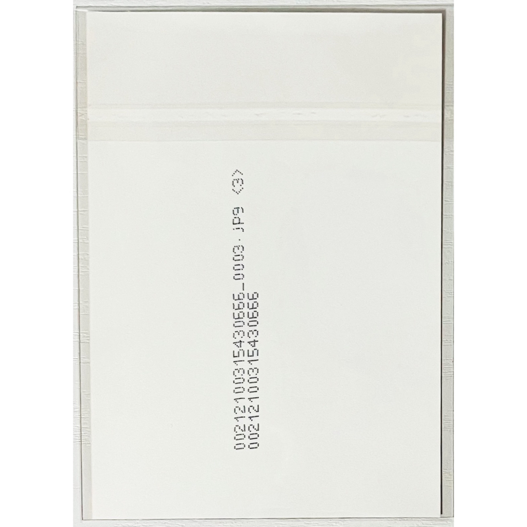 V系☆ナイトメア【Ni〜ya】FOOL´S MATE☆ブロマイド☆アー写