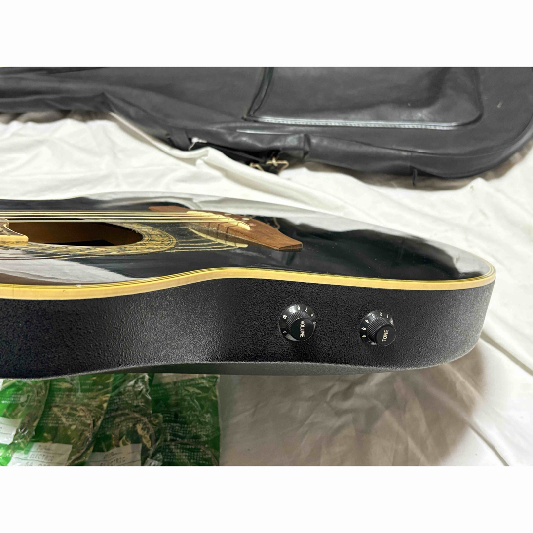 Pro Martin エレアコ ソフトケース 他付属品付き 1920-01-1