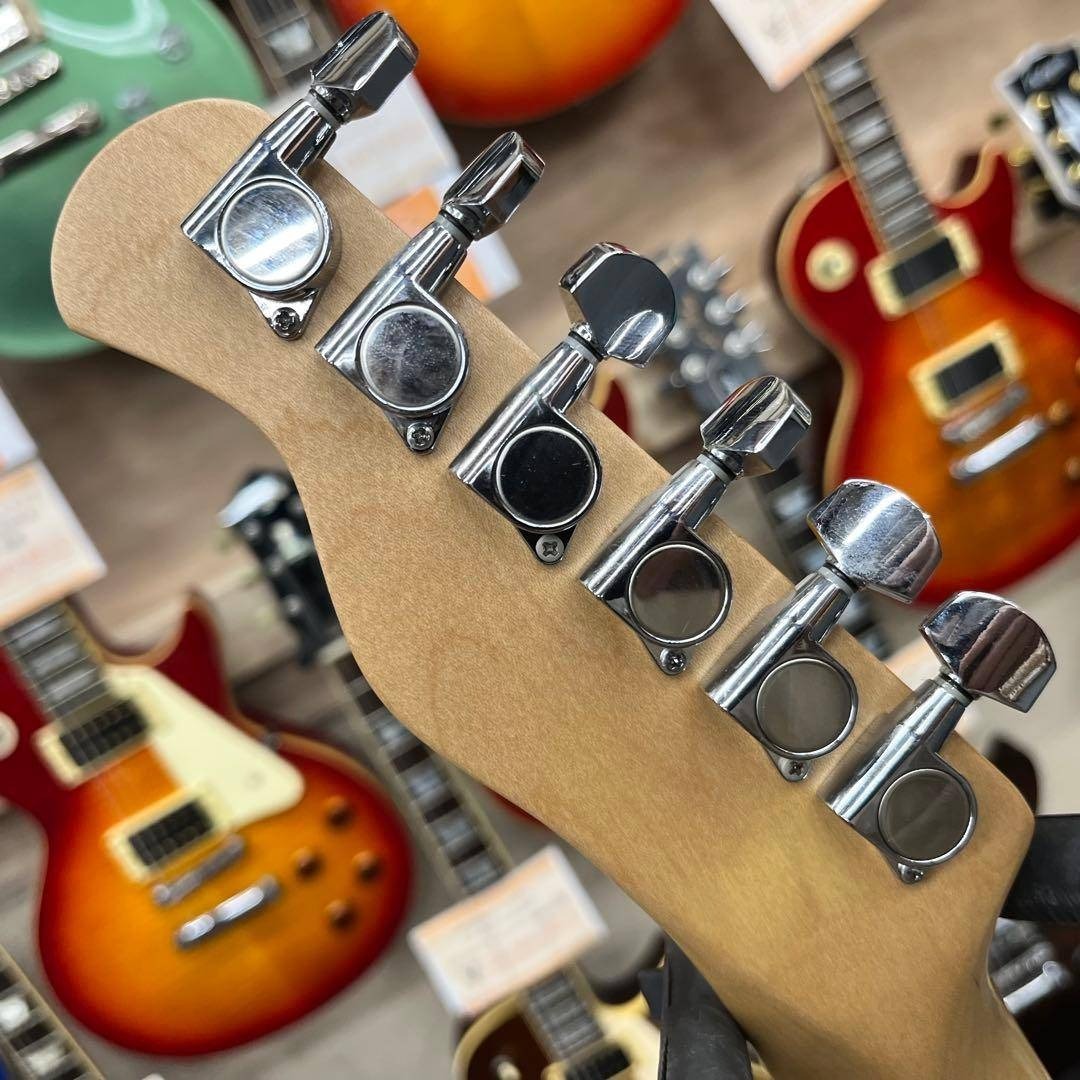 11402】Bacchus メタリックブルー バインディング