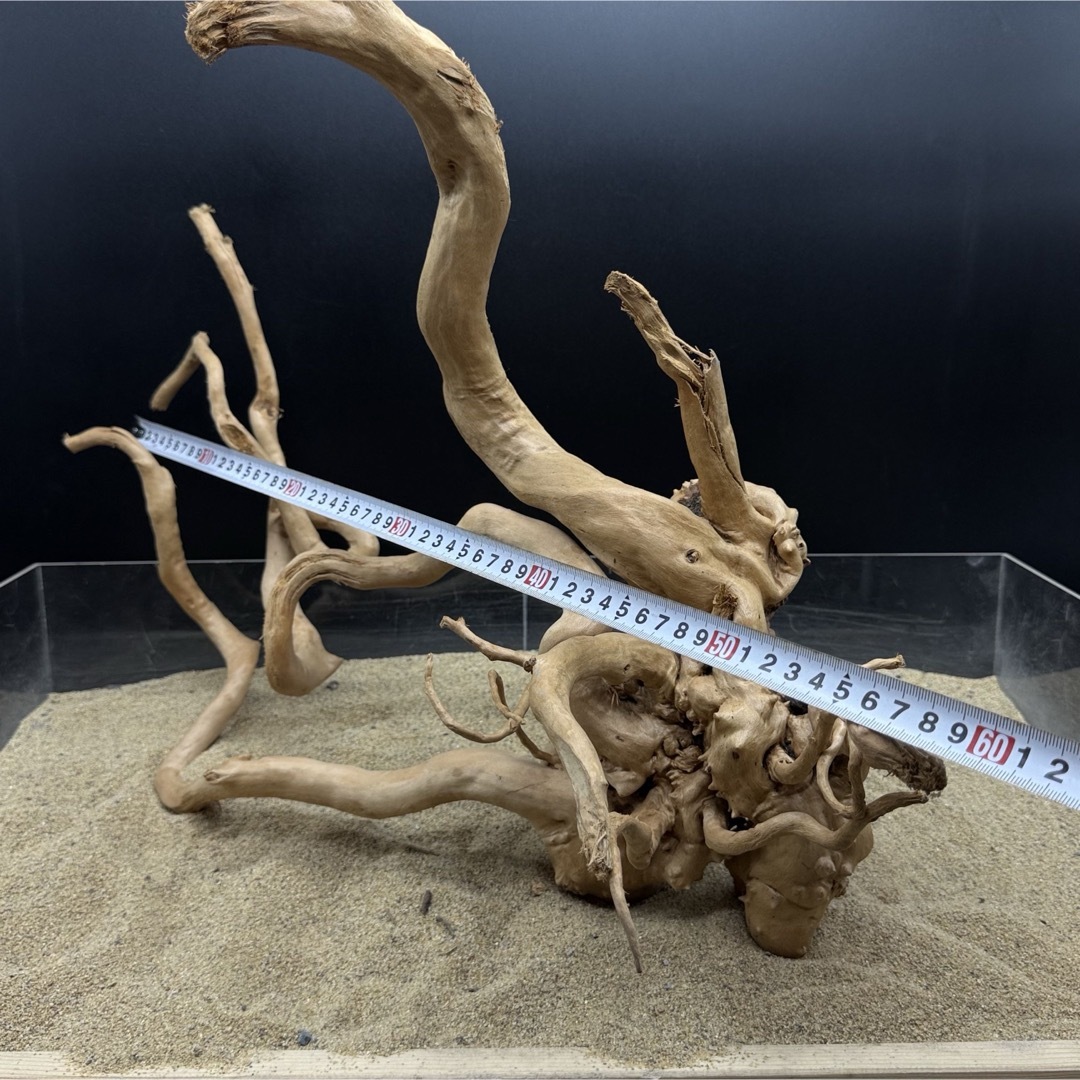 MDW-7000 特大ブランチウッド 流木 枝流木 アクアリウム