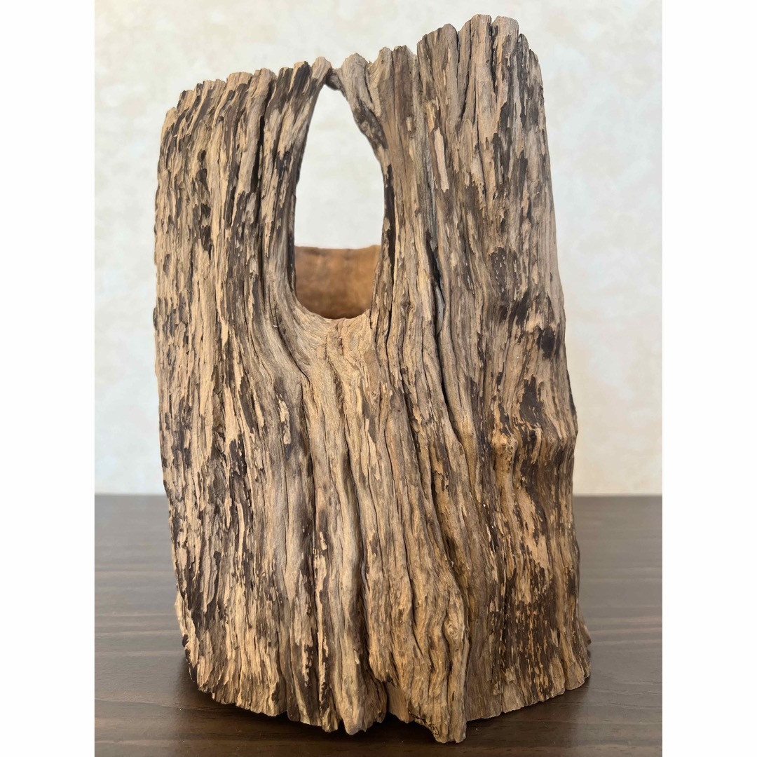 HX-008 流木 空洞 爬虫類 アクアリウム アクアテラリウム 即沈水