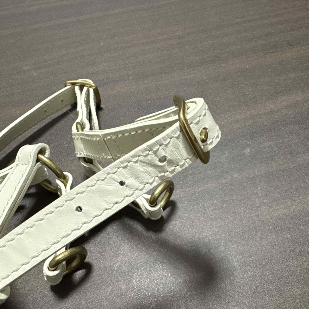 CITYDOG レザー ハーネスMサイズ&リードセット アイボリー