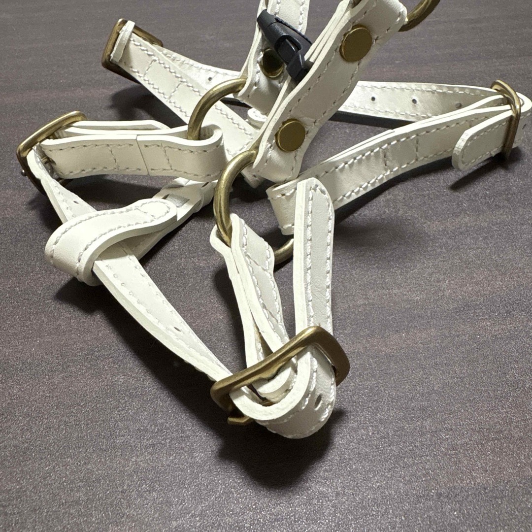 CITYDOG レザー ハーネスMサイズ&リードセット アイボリー