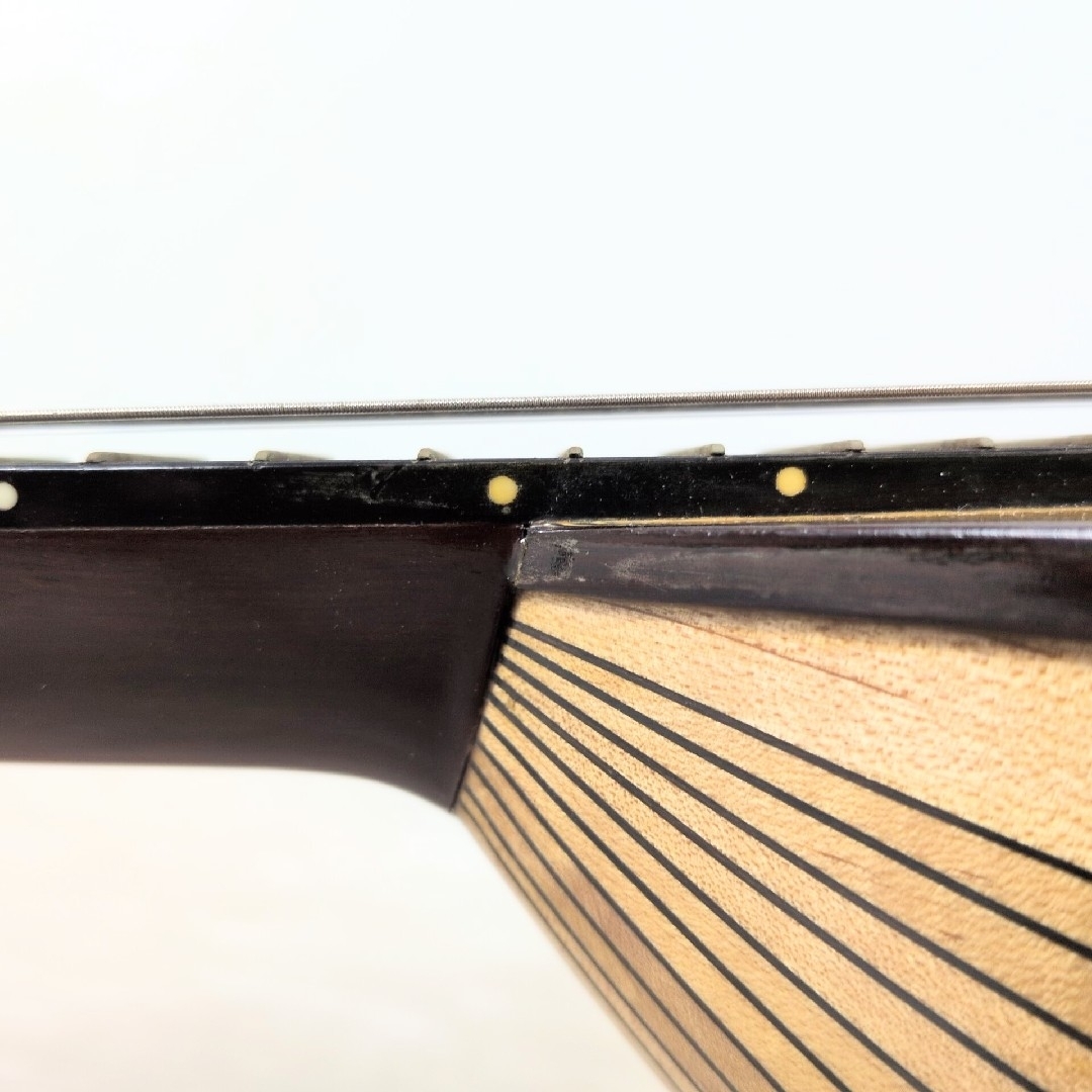 SUZUKI M-30 マンドリン 本体 ハードケース付き