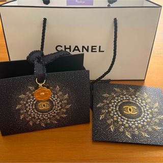 CHANEL - 新品未使用☆ブランド ノベルティ 巾着など11枚セット セット