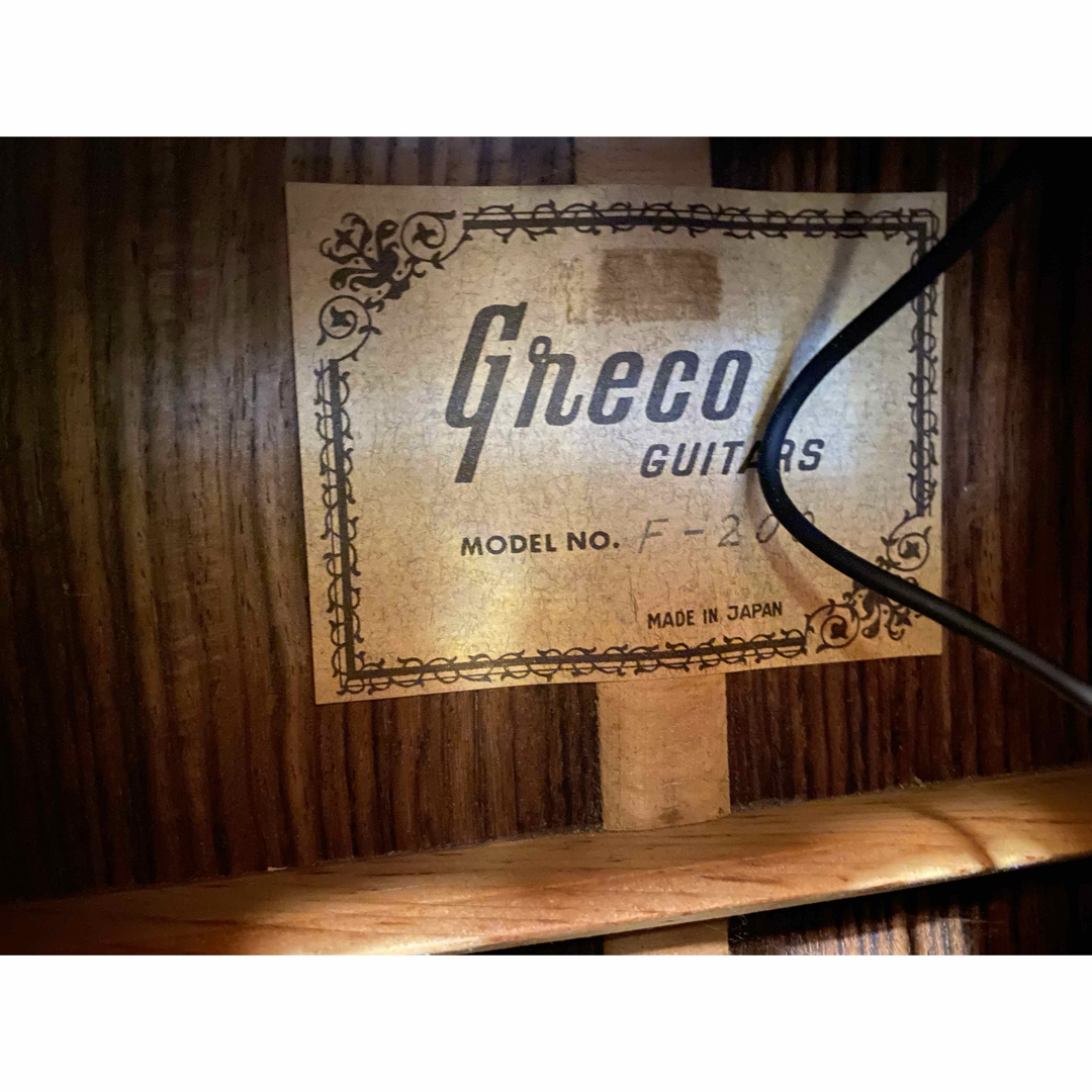 Greco - Greco F200 (エレアコ仕様)の通販 by 009's shop｜グレコなら