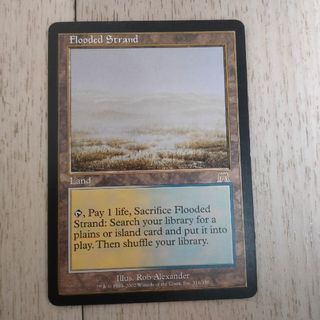 マジック：ザ・ギャザリング - たから様専用 foil第9版ラースの