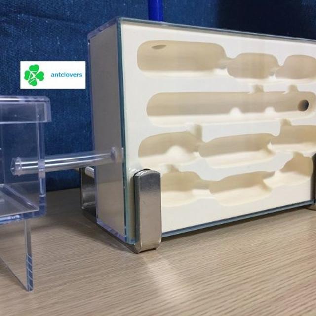 アリ飼育観察ケース(餌場セット付)蟻の巣(石膏) クリアランス アリの