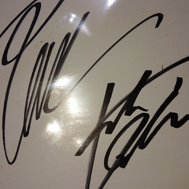 INABA⁄SALAS B'z直筆サイン会場限定 直筆 サイン 色紙 稲葉浩志 B'z