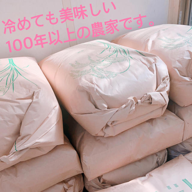 526 きのこタイプ 中国 内モンゴル産 フローライト&パイライト