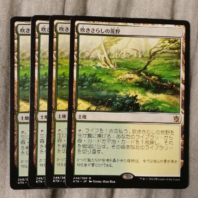 即決 MTG KTK 吹きさらしの荒野 日本語 4枚セット