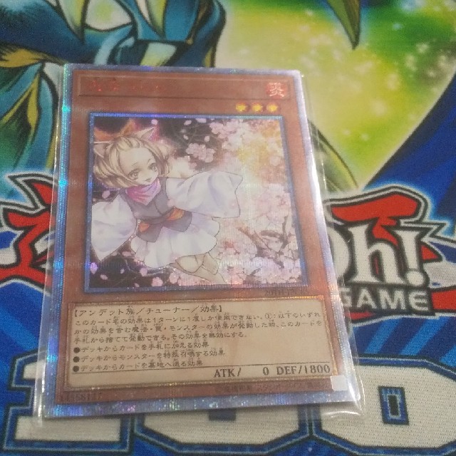 遊戯王 灰流うらら 20thシークレット 【公式通販】