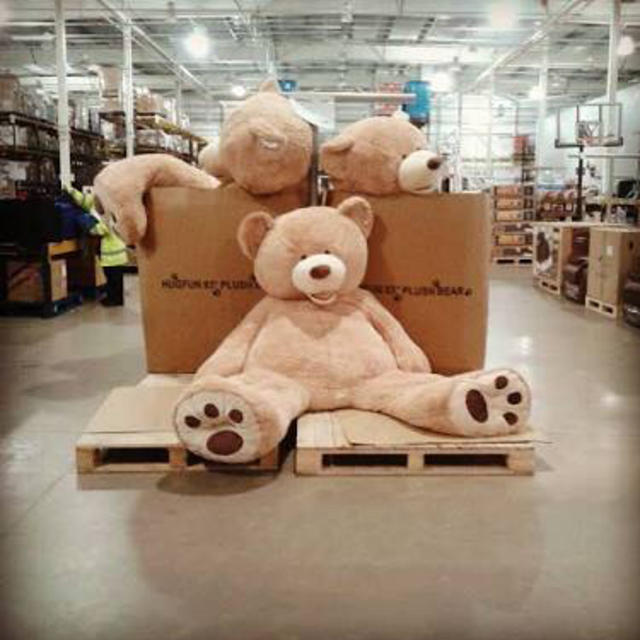 即購入可】レア！コストコクマ2m40cm