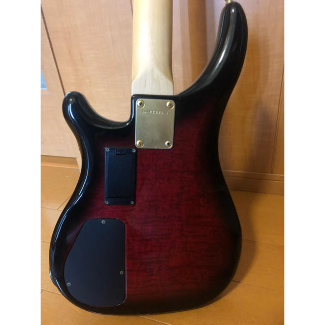 Chatting Bird チャッティングバード5弦エレキベース ギグバッグ付き