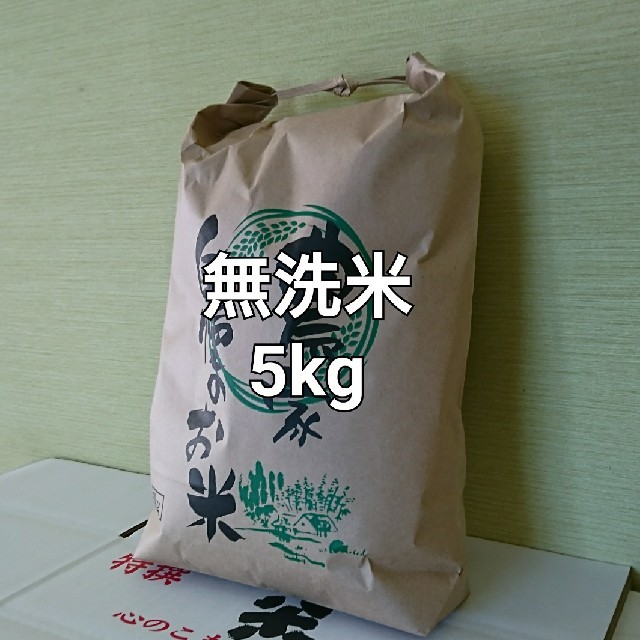 富士正晴 直筆彩色画 色紙 2点一括 割引