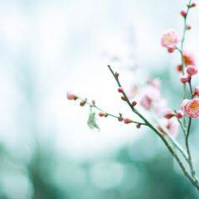 わんこのママ様専用 ワン子様専用 ☆ママこ様☆犬服