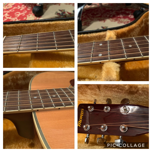 綺麗目 Morris MF-251N モーリス アコギ ギター