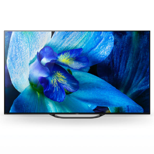 SONY ソニー ブラビア 55インチ 有機ELテレビ KJ55A8F