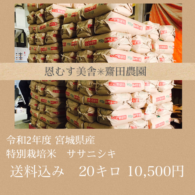 台湾 陶芸 台灣 陶藝 名工 コレクション 郭明本 七彩 結晶釉 球瓶 花瓶