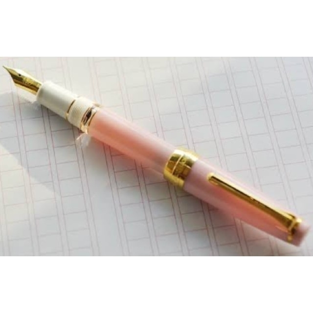 万年筆 ゆきのしたで レアロ M字 ペントノートオリジナル万年筆 ゆきの