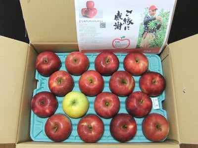 品種おまかせ 】りんご 約 4.5kg セット 北上市/口内産 りんご 果物