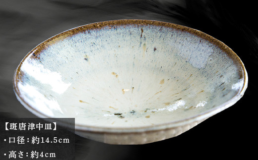 唐津焼 斑唐津中皿 中野政之作 - 佐賀県唐津市｜ふるさとチョイス