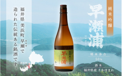 早瀬浦】純米吟醸 さかほまれ 720ml × 2本 セット【日本酒 地酒 福井