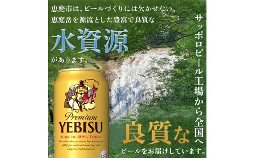 サッポロ ヱビスビール 48本（350ml×24本×2箱） ｜ サッポロビール